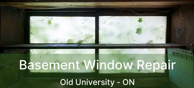 Basement Window Repair Old University - ON
