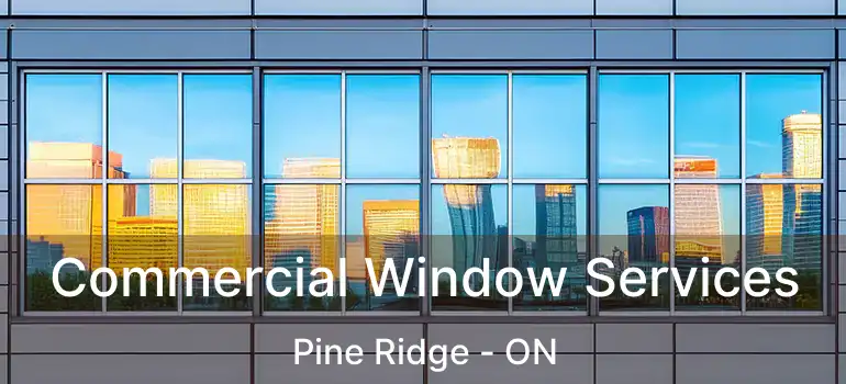 Commercial Window Services Pine Ridge - ON