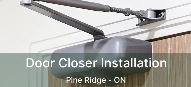 Door Closer Installation Pine Ridge - ON