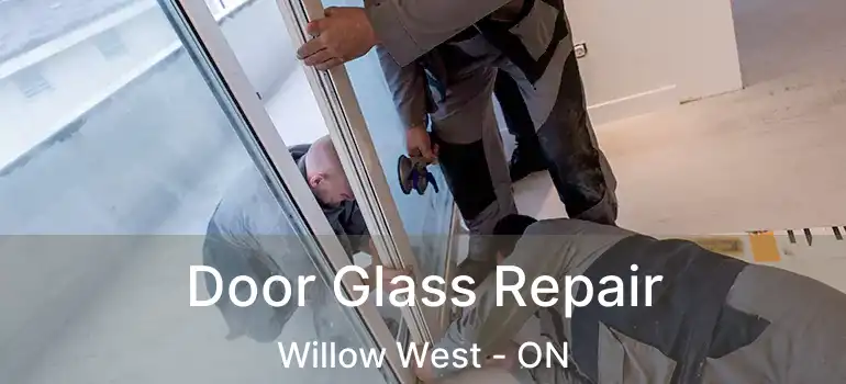 Door Glass Repair Willow West - ON