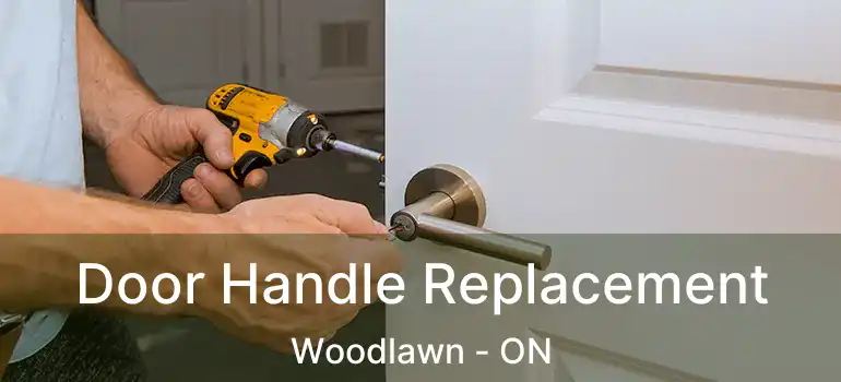 Door Handle Replacement Woodlawn - ON