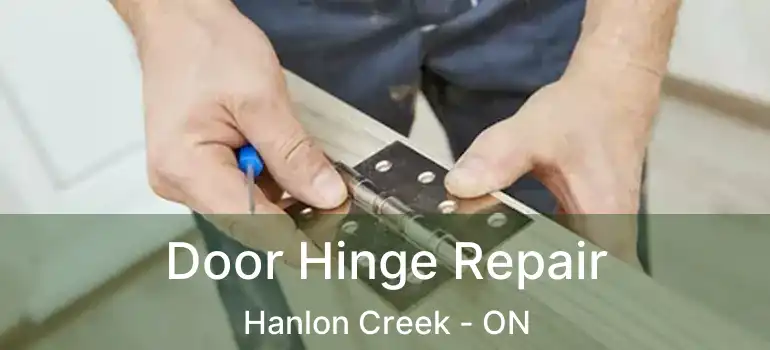 Door Hinge Repair Hanlon Creek - ON