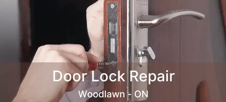  Door Lock Repair Woodlawn - ON