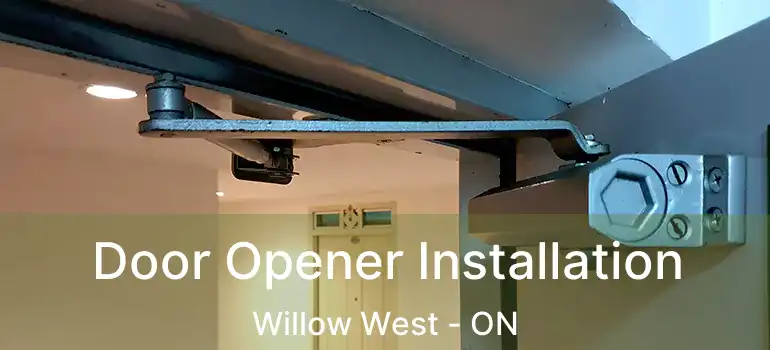 Door Opener Installation Willow West - ON