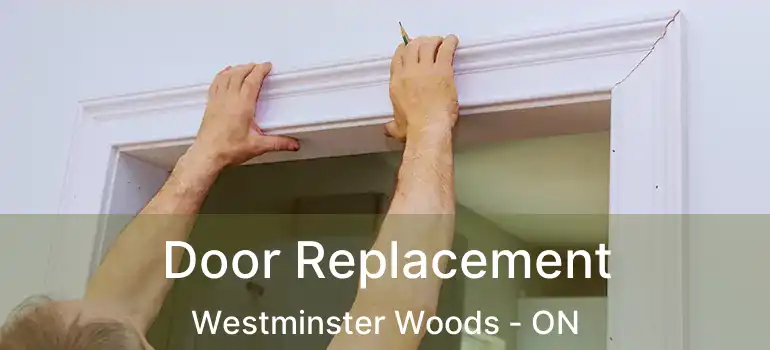 Door Replacement Westminster Woods - ON
