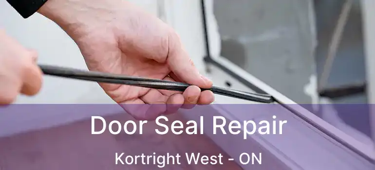 Door Seal Repair Kortright West - ON