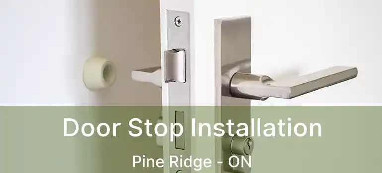 Door Stop Installation Pine Ridge - ON