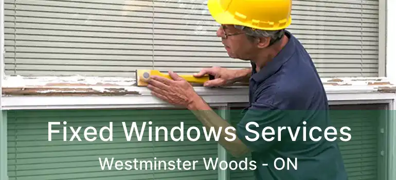 Fixed Windows Services Westminster Woods - ON