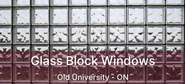 Glass Block Windows Old University - ON