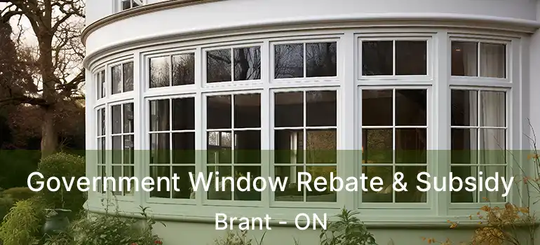 Government Window Rebate & Subsidy Brant - ON