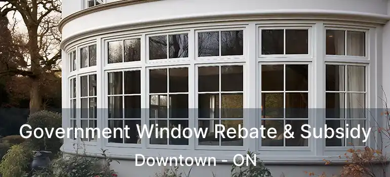 Government Window Rebate & Subsidy Downtown - ON