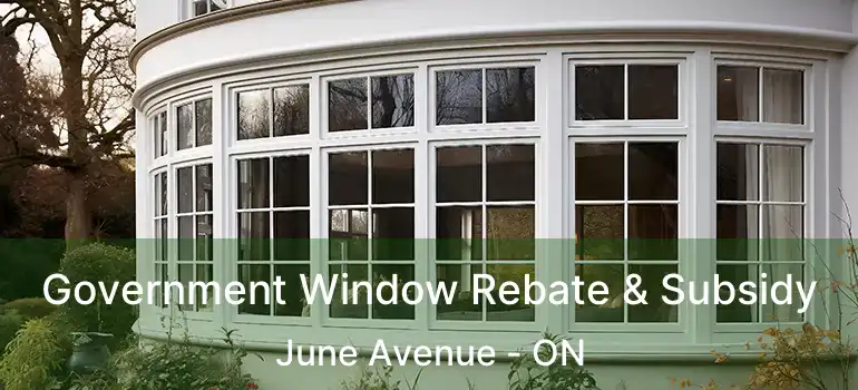Government Window Rebate & Subsidy June Avenue - ON