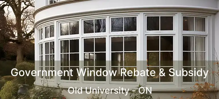 Government Window Rebate & Subsidy Old University - ON