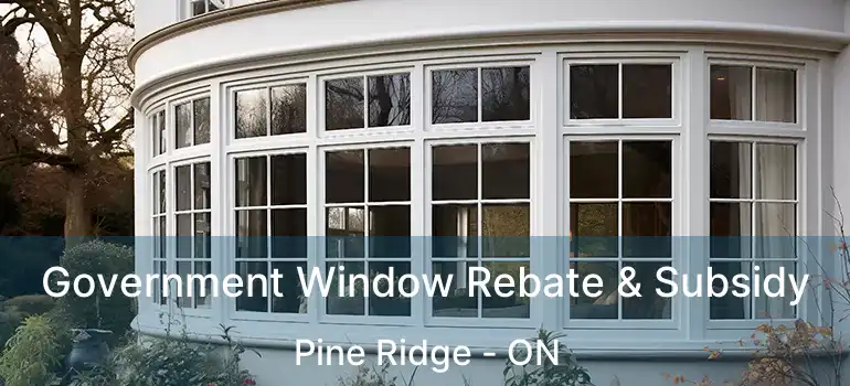 Government Window Rebate & Subsidy Pine Ridge - ON