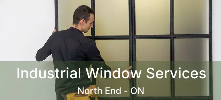 Industrial Window Services North End - ON