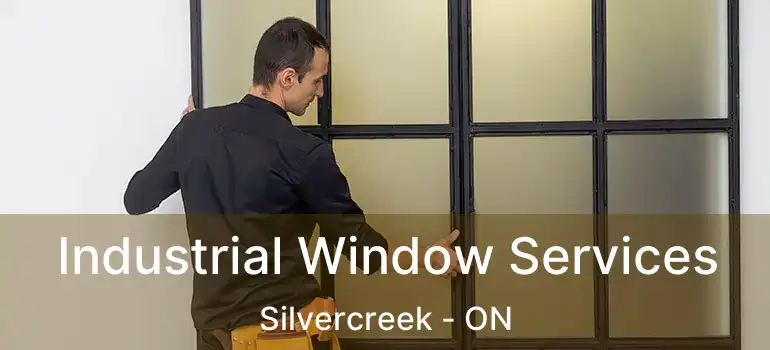 Industrial Window Services Silvercreek - ON