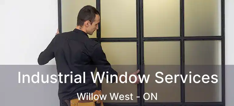 Industrial Window Services Willow West - ON