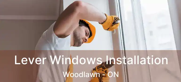Lever Windows Installation Woodlawn - ON