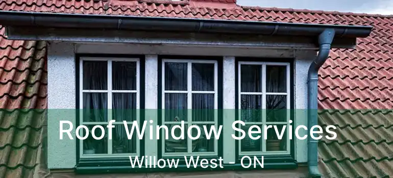 Roof Window Services Willow West - ON