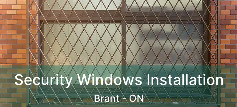 Security Windows Installation Brant - ON
