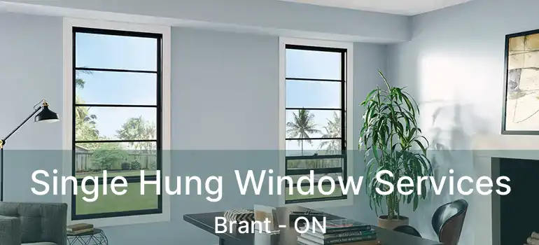 Single Hung Window Services Brant - ON