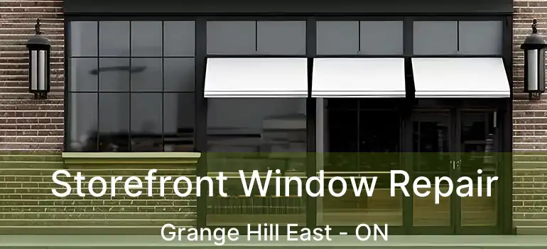 Storefront Window Repair Grange Hill East - ON