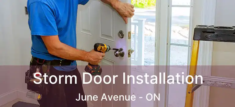  Storm Door Installation June Avenue - ON