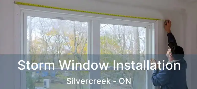 Storm Window Installation Silvercreek - ON