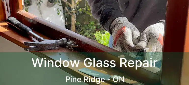 Window Glass Repair Pine Ridge - ON
