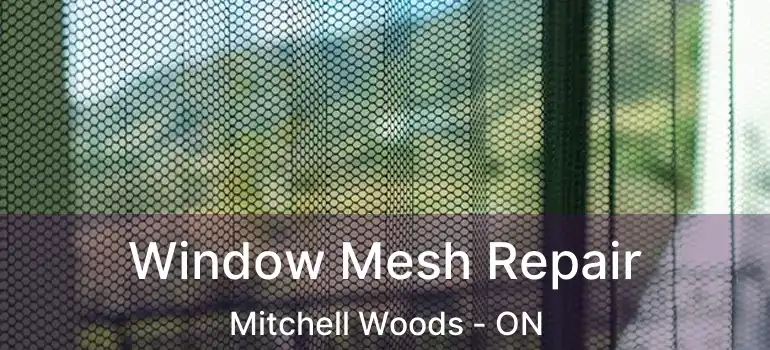 Window Mesh Repair Mitchell Woods - ON