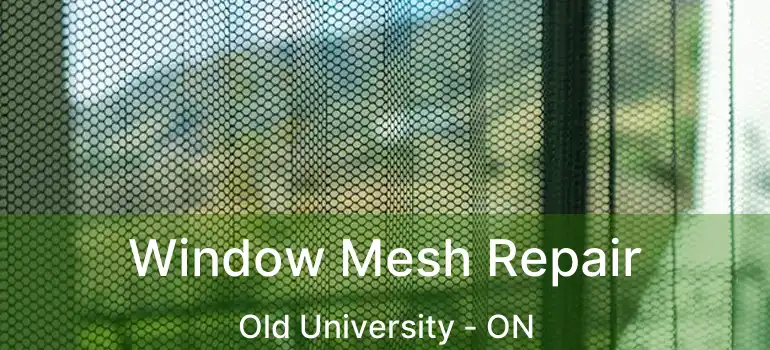 Window Mesh Repair Old University - ON