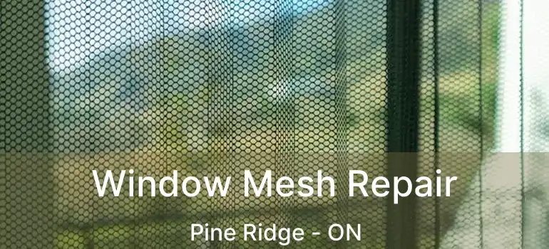 Window Mesh Repair Pine Ridge - ON