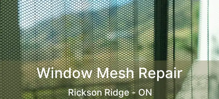 Window Mesh Repair Rickson Ridge - ON
