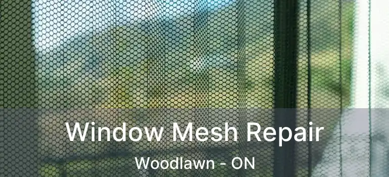Window Mesh Repair Woodlawn - ON