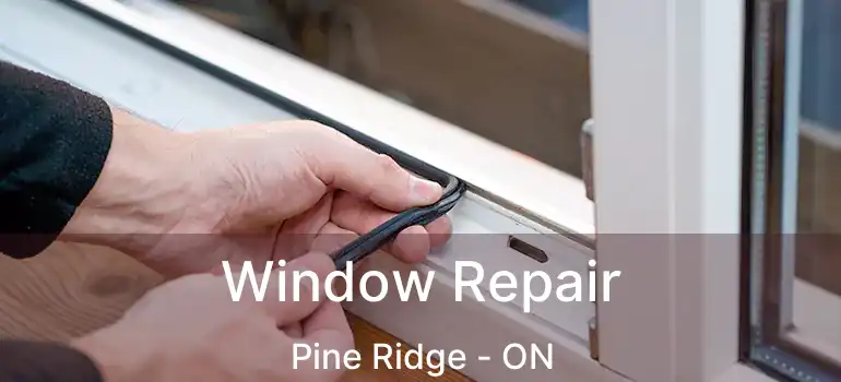  Window Repair Pine Ridge - ON
