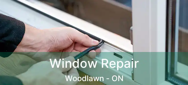 Window Repair Woodlawn - ON