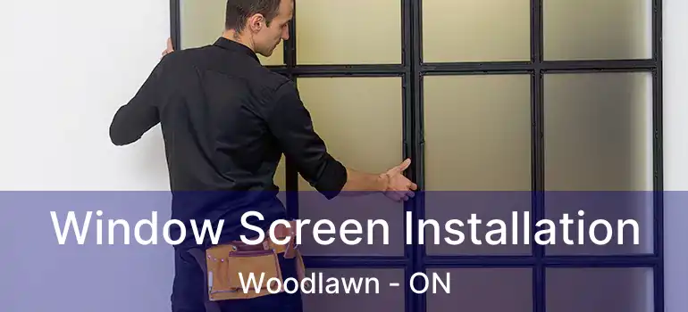 Window Screen Installation Woodlawn - ON