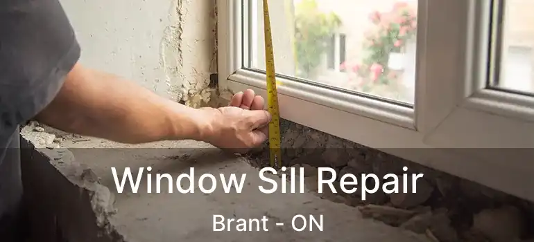  Window Sill Repair Brant - ON