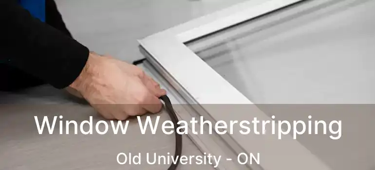  Window Weatherstripping Old University - ON