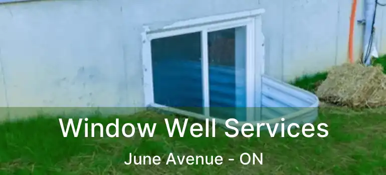 Window Well Services June Avenue - ON
